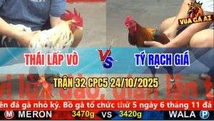 Trận 32 CPC5 24/10/2025 - Anh Thái Lấp Vò Và Anh Tý Rạch Giá