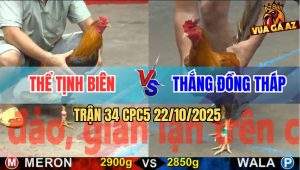 Trận 34 CPC5 22/10/2025 - Anh Thể Tịnh Biên Và Anh Thắng Đồng Tháp