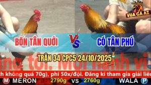 Trận 34 CPC5 24/10/2025 - Anh Bốn Tân Quới Và Anh Có Tân Phú