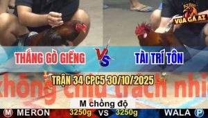 Trận 34 CPC5 30/10/2025 - Anh Thắng Gò Giềng Và Anh Tài Trí Tôn