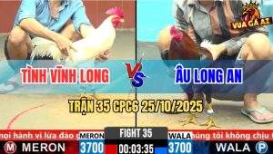 Trận 35 CPC6 26/10/2025 - Úa Cựa Chỉ Thiên, Khiên Điều Ra Sân