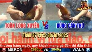 Trận 37 CPC5 30/10/2025 - Anh Toàn Long Xuyên Và Anh Hùng Cần Thơ