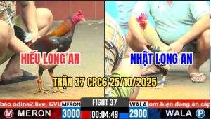 Trận 37 CPC6 26/10/2025 - Chuối Trắng Nhét Cây Quá Hiểm Điều Lọt Chết