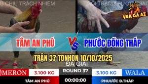 Trận 37 TonHon 10/10/2025 - Anh Tâm An Phú Gặp Anh Phước Đồng Tháp