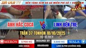 Trận 37 TonHon 18/10/2025 - Gà Bướm Anh Linh Lên Lớp Không Thành