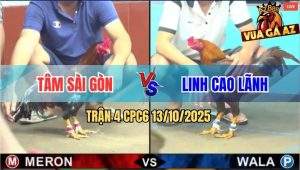 Trận 4 CPC6 13/10/2025 - Gà Điều Anh Tâm Siết Cây Lung Khét Xì Cơm