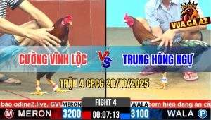 Trận 4 CPC6 20/10/2025 - Điều Cọp Anh Nu Hồng Ngự Đâm Cựa Bao Dính