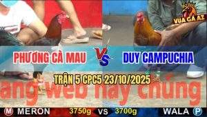 Trận 5 CPC5 23/10/2025 - Gà Khét Anh Duy Đá Que Gãy Giò Trong Nốt Nhạc