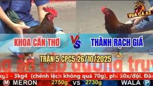 Trận 5 CPC5 26/10/2025 - Anh Khoa Cần Thơ Và Anh Thành Rạch Giá