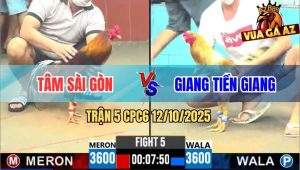 Trận 5 CPC6 12/10/2025 - Cú Kêu Điều Tử, Cú Xử Điều Bay Bồ La Miệng