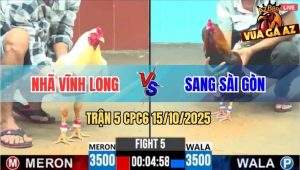 Trận 5 CPC6 15/10/2025 - Gà Úa Anh Nhã Đá Gà Điều Anh Sang Bay Bồ