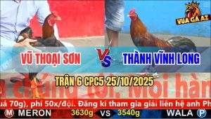 Trận 6 CPC5 25/10/2025 - Anh Vũ Thoại Sơn Và Anh Thành Vinh Long