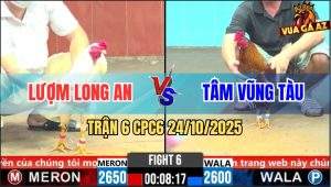 Trận 6 CPC6 24/10/2025 - Xám Đá Nhẹ Cây Gà Bướm Chết Trong Tim Chết Ra