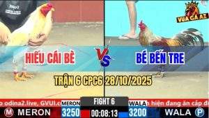 Trận 6 CPC6 28/10/2025 - Bướm Có Chân May Độ Táng Cây Gà Xám Nằm Liệt