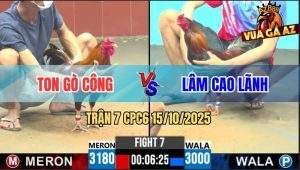 Trận 7 CPC6 15/10/2025 - Khét Nhập Anh Ton Tải Cựa Như Máy Điện