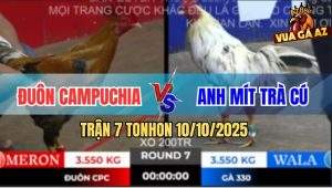 Trận 7 TonHon 10/10/2025 - Bướm Hiệu Anh Mít Trà Cú Chưa Kịp Đá Đã Hẹo