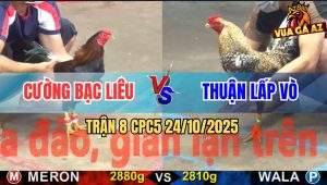 Trận 8 CPC5 24/10/2025 - Anh Cường Bạc Liêu Và Anh Thuận Lấp Vò