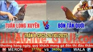 Trận 8 CPC5 26/10/2025 - Anh Tuấn Long Xuyên Và Anh Bốn Tân Quới