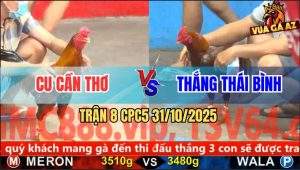 Trận 8 CPC5 31/10/2025 - Anh Cu Cần Thơ Và Anh Thắng Thái Bình