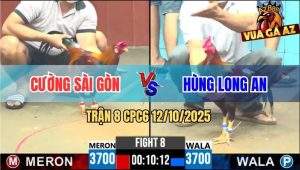 Trận 8 CPC6 12/10/2025 - Điều Chân Vàng Bú Chân Xanh Gãy Giò Bay Bồ