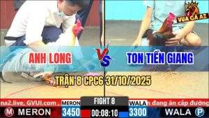 Trận 8 CPC6 31/10/2025 - Bướm Anh Long Quá Trâu, Điều Vô Chỉ Có Chết