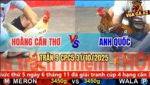 Trận 9 CPC5 31/10/2025 - Anh Hoàng Cần Thơ Và Anh Quốc