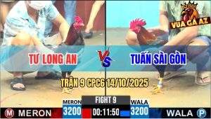 Trận 9 CPC6 14/10/2025 - Điều Lá Đá Điều Dâu Anh Tùng Chay Be Miệng