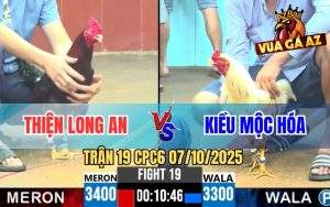 Trận 19 CPC6 7/10/2025