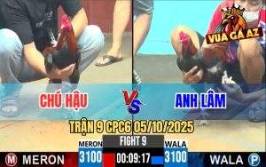 Trận 9 CPC6 5/10/2025