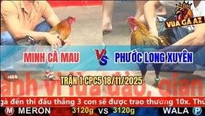 Trận 1 CPC5 18/11/2025 - Gà Chuối Anh Phước Mở Bát Xin Đối Thủ Cặp Giò