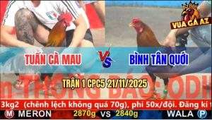 Trận 1 CPC5 21/11/2025 - Điều Mặt Râu Lướt Ói Dí Đối Thủ Chạy Mất Dép