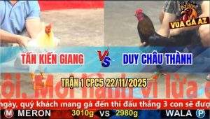 Trận 1 CPC5 22/11/2025 - Gà Úa Anh Tân Phản 5 Lai, Biện Hóc Xương