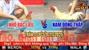 Trận 1 CPC5 9/11/2025 - Anh Nhớ Bạc Liêu Và Anh Nam Đồng Tháp