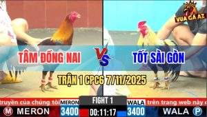 Trận 1 CPC6 7/11/2025 - Gà Chuối Anh Tâm Bị Nạp Mấy Cây Ói Chạy Chết