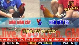Trận 10 CPC5 19/11/2025 - Gà Điều May Độ Có Chân Cứu Chủ