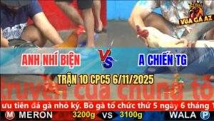 Trận 10 CPC5 6/11/2025 - Gà Anh Nhí Xin Cặp Giò Gà Bướm Anh A Chiến
