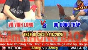 Trận 10 CPC5 8/11/2025 - Anh Vũ Vĩnh Long Và Anh Dự Đồng Tháp