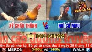 Trận 11 CPC5 16/11/2025 - Anh Xý Châu Thành Và Anh Nhí Cà Mau