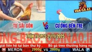 Trận 11 CPC5 21/11/2025 - Chuối Chân Xanh Đâm Điều Không Kịp Dỡ Giò