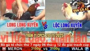 Trận 11 CPC5 24/11/2025 - Điều Chân Xanh Dính Cây Cần Chạy Bay Bồ