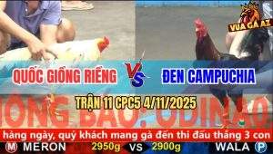 Trận 11 CPC5 4/11/2025 - Anh Sỹ Cần Thơ Và Anh Phát Đồng Tháp