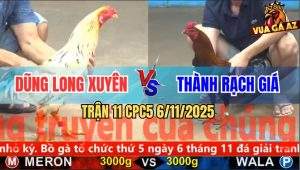 Trận 11 CPC5 6/11/2025 - Bướm Anh Dũng Đâm Xanh Đập Cánh Chết Tươi
