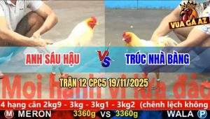 Trận 12 CPC5 19/11/2025 - Anh Trúc Phục Thù Anh Sáu Hậu Thành Công