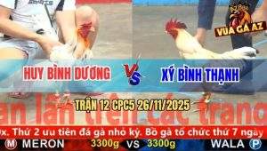 Trận 12 CPC5 26/11/2025 - Bướm Lá Lệch Đâm Bướm Lá Đứng Quẹo Cổ