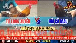 Trận 12 CPC5 4/11/2025 - Anh Tư Long Xuyên Và Anh Hải Cà Mau