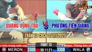 Trận 13 CPC6 3/11/2025 - Gà Xám Anh Quang Ra Làm 2 Chân Bướm Nằm Đống