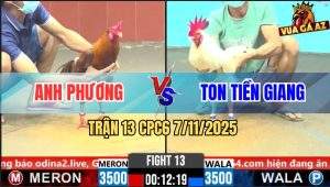 Trận 13 CPC6 7/11/2025 - Gà Bướm Anh Ton Vô Được Mấy Chân Sau Lụm Tiền