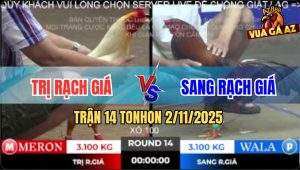 Trận 14 TonHon 2/11/2025 - Điều Chặn Chân Má Minh Xách Đuôi Gà Úa Ra