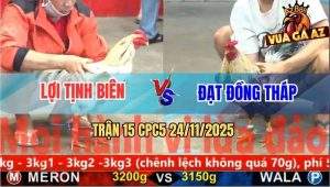 Trận 15 CPC5 24/11/2025 - Bướm Anh Lợi Đụng Chuối Cọp Chạy Thoát Thân