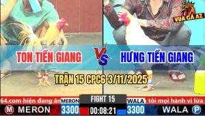 Trận 15 CPC6 3/11/2025 - Khét Bông Đuôi Tháo Cựa Không Kịp